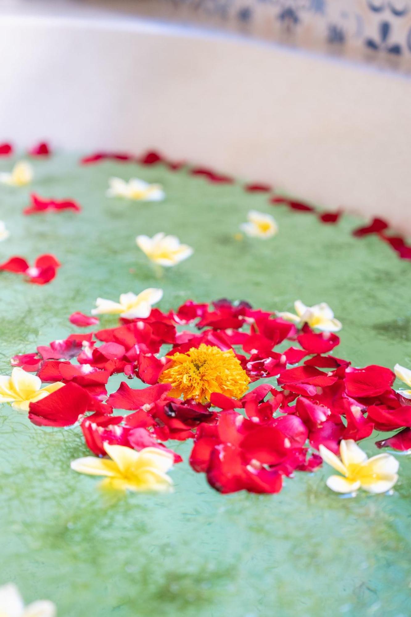 The Compass Rose Ubud Εξωτερικό φωτογραφία